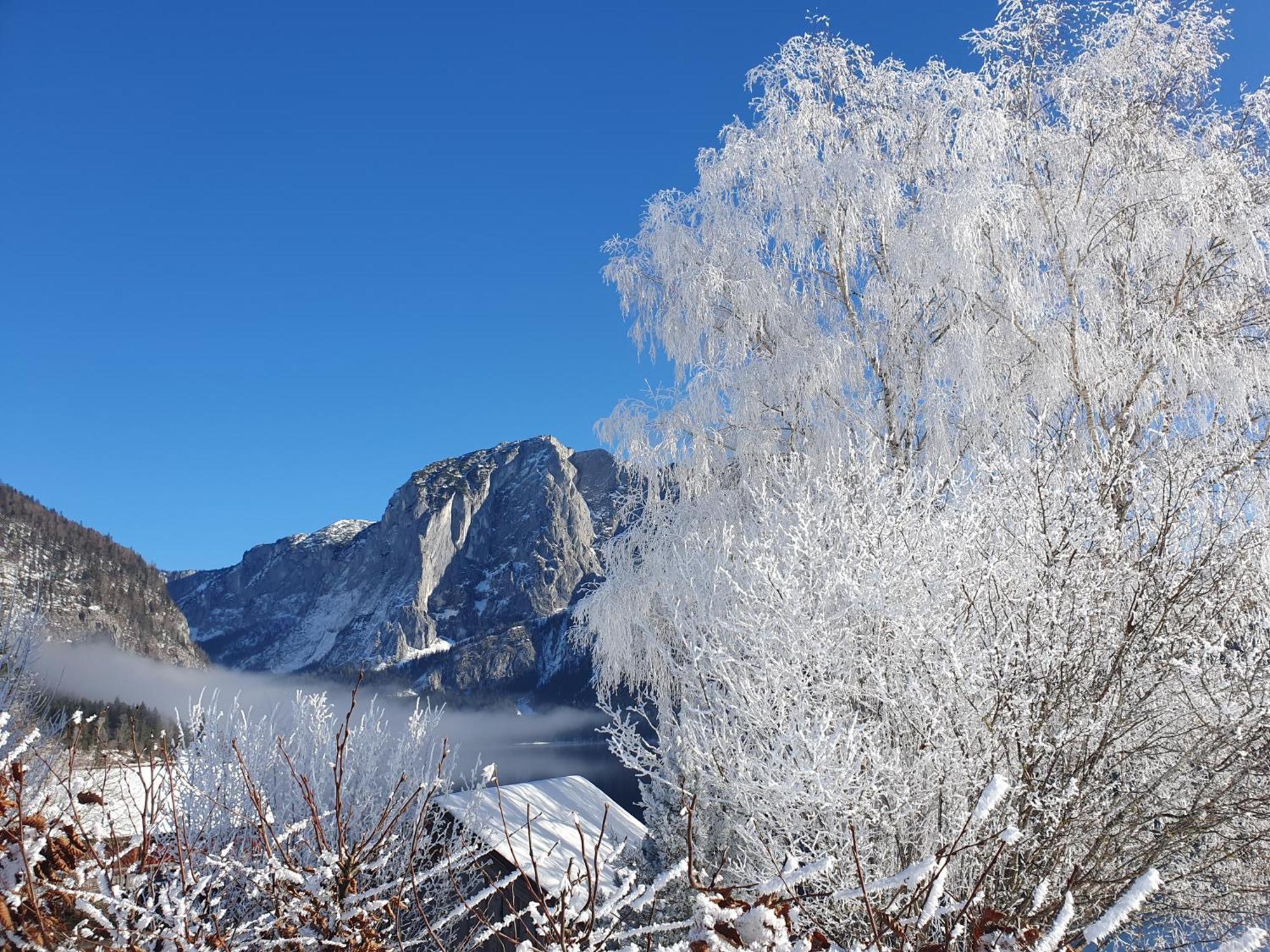 Refugium Bad Ischl Lägenhet Exteriör bild